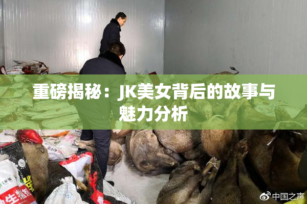 重磅揭秘：JK美女背后的故事与魅力分析