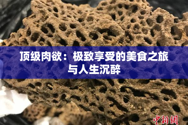 顶级肉欲：极致享受的美食之旅与人生沉醉