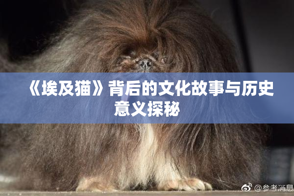 《埃及猫》背后的文化故事与历史意义探秘