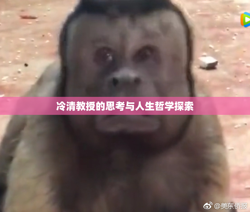 冷清教授的思考与人生哲学探索