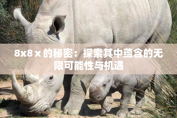 8x8ⅹ的秘密：探索其中蕴含的无限可能性与机遇