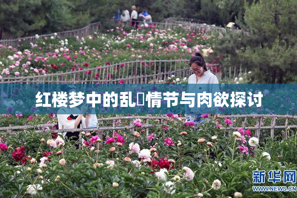 红楼梦中的乱婬情节与肉欲探讨