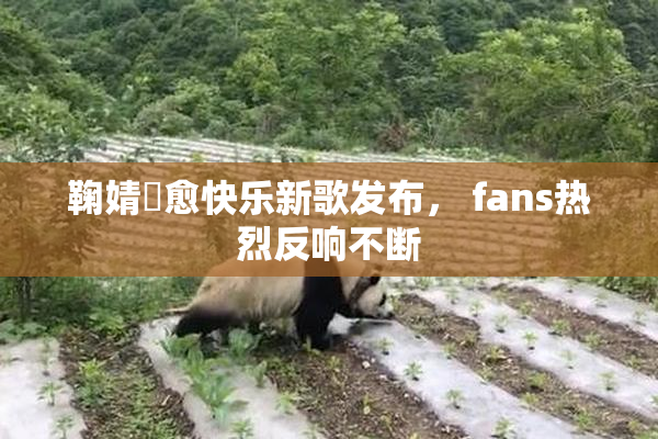 鞠婧祎愈快乐新歌发布， fans热烈反响不断