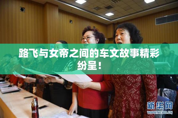 路飞与女帝之间的车文故事精彩纷呈！