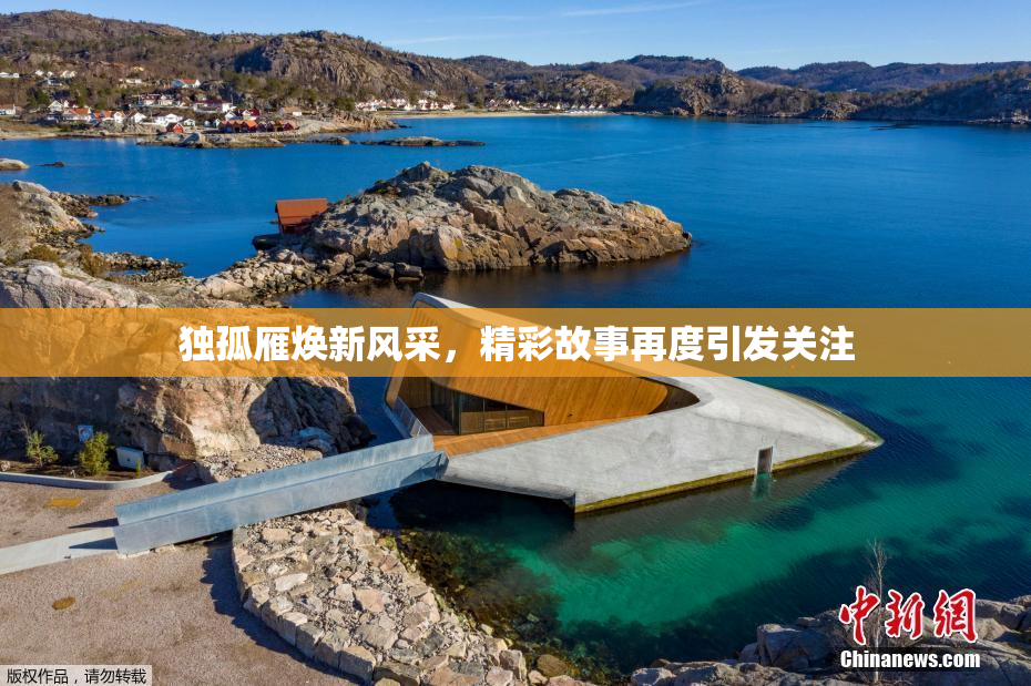 独孤雁焕新风采，精彩故事再度引发关注