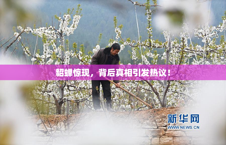 貂蝉惊现，背后真相引发热议！
