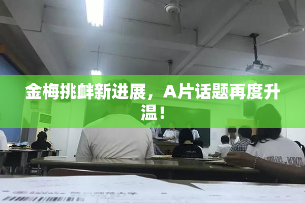 金梅挑衅新进展，A片话题再度升温！