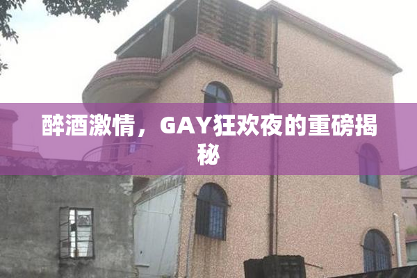 醉酒激情，GAY狂欢夜的重磅揭秘
