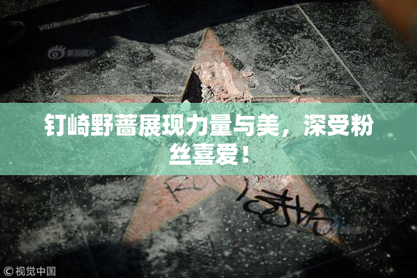 钉崎野蔷展现力量与美，深受粉丝喜爱！