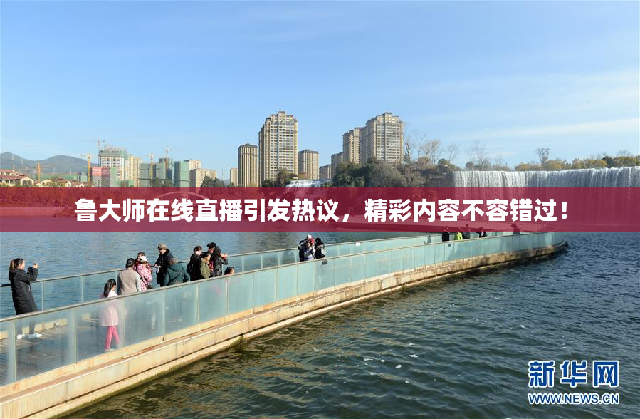 鲁大师在线直播引发热议，精彩内容不容错过！