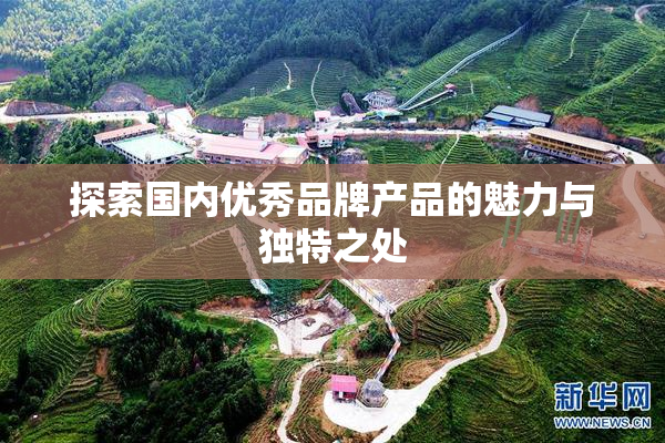 探索国内优秀品牌产品的魅力与独特之处