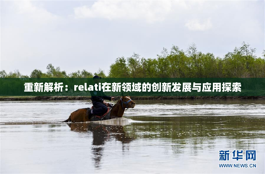 重新解析：relati在新领域的创新发展与应用探索