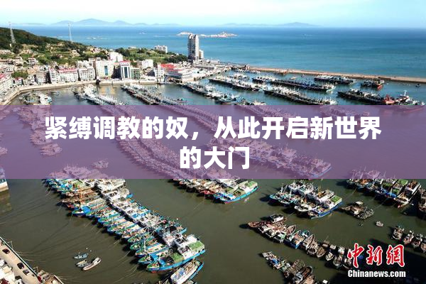 紧缚调教的奴，从此开启新世界的大门