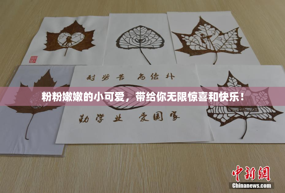 粉粉嫩嫩的小可爱，带给你无限惊喜和快乐！