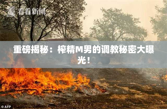 重磅揭秘：榨精M男的调教秘密大曝光！