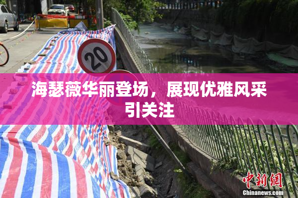海瑟薇华丽登场，展现优雅风采引关注