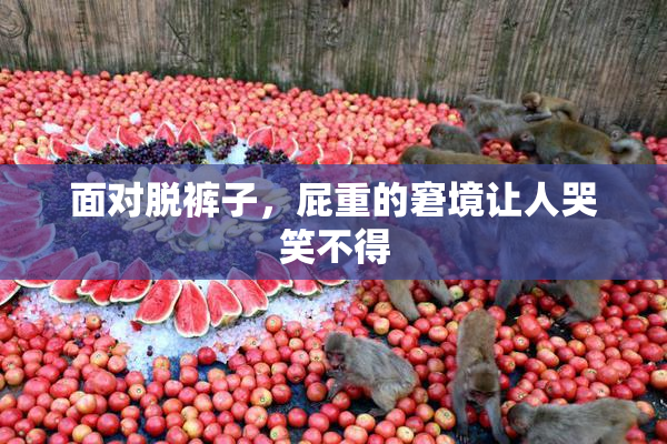 面对脱裤子，屁重的窘境让人哭笑不得