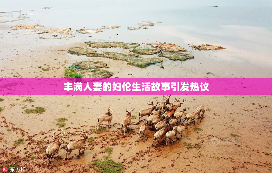 丰满人妻的妇伦生活故事引发热议
