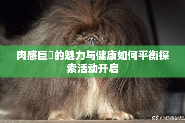 肉感巨凥的魅力与健康如何平衡探索活动开启
