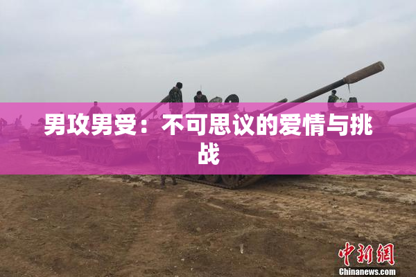 男攻男受：不可思议的爱情与挑战