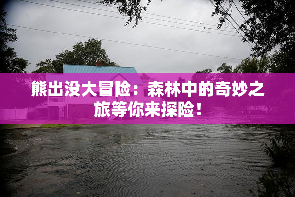 熊出没大冒险：森林中的奇妙之旅等你来探险！