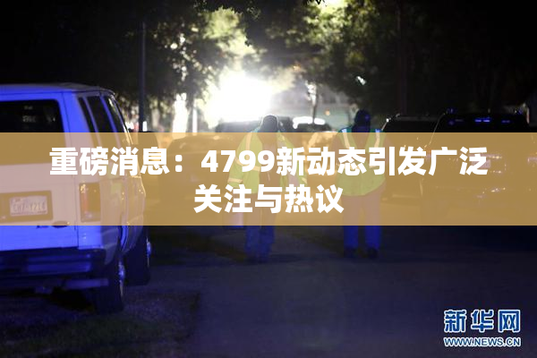 重磅消息：4799新动态引发广泛关注与热议