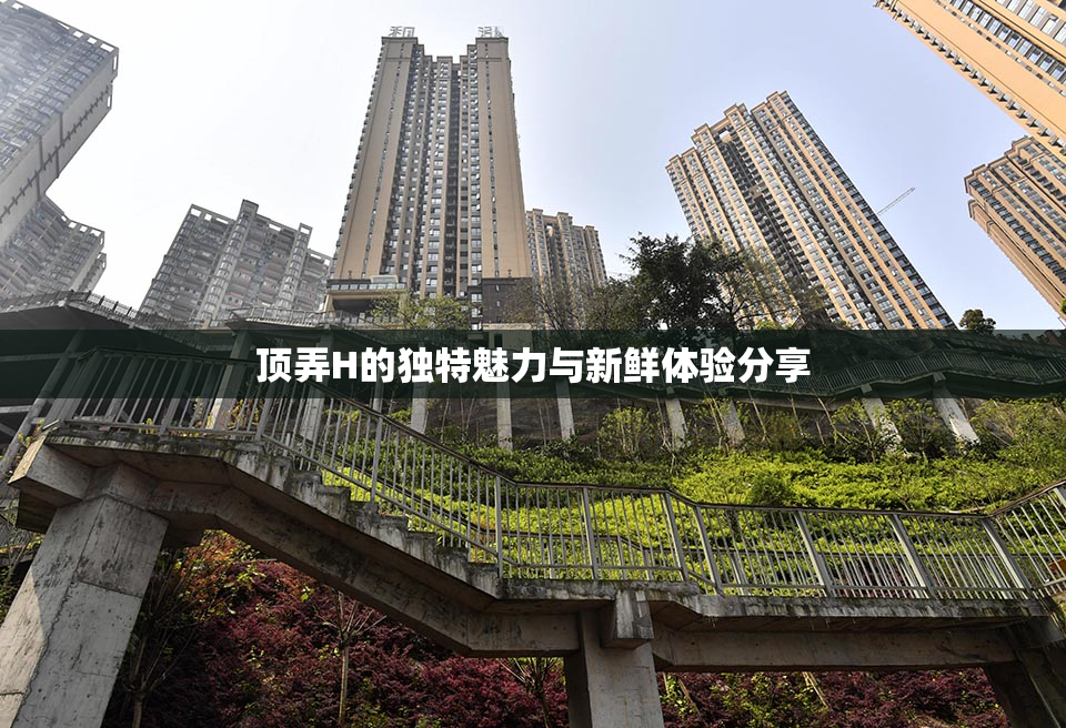 顶弄H的独特魅力与新鲜体验分享
