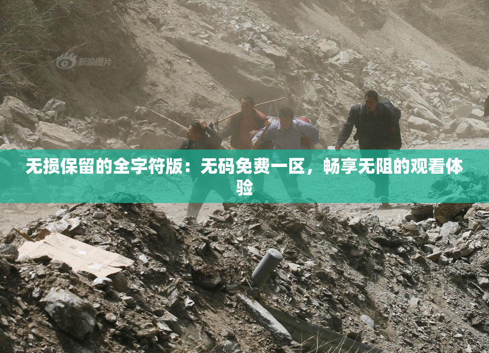 无损保留的全字符版：无码免费一区，畅享无阻的观看体验