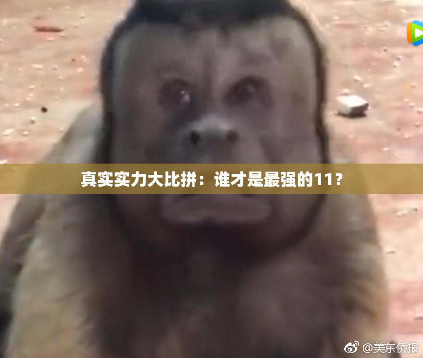 真实实力大比拼：谁才是最强的11？