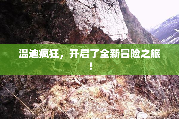 温迪疯狂，开启了全新冒险之旅！