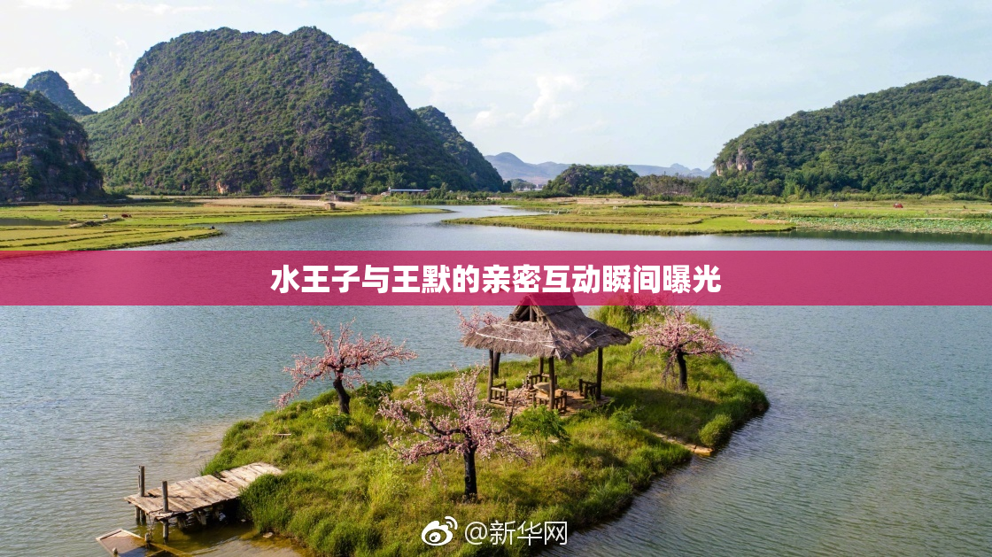 水王子与王默的亲密互动瞬间曝光