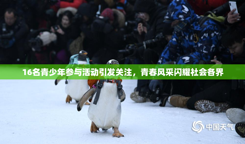 16名青少年参与活动引发关注，青春风采闪耀社会各界