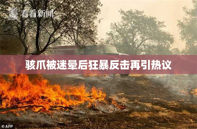 骇爪被迷晕后狂暴反击再引热议