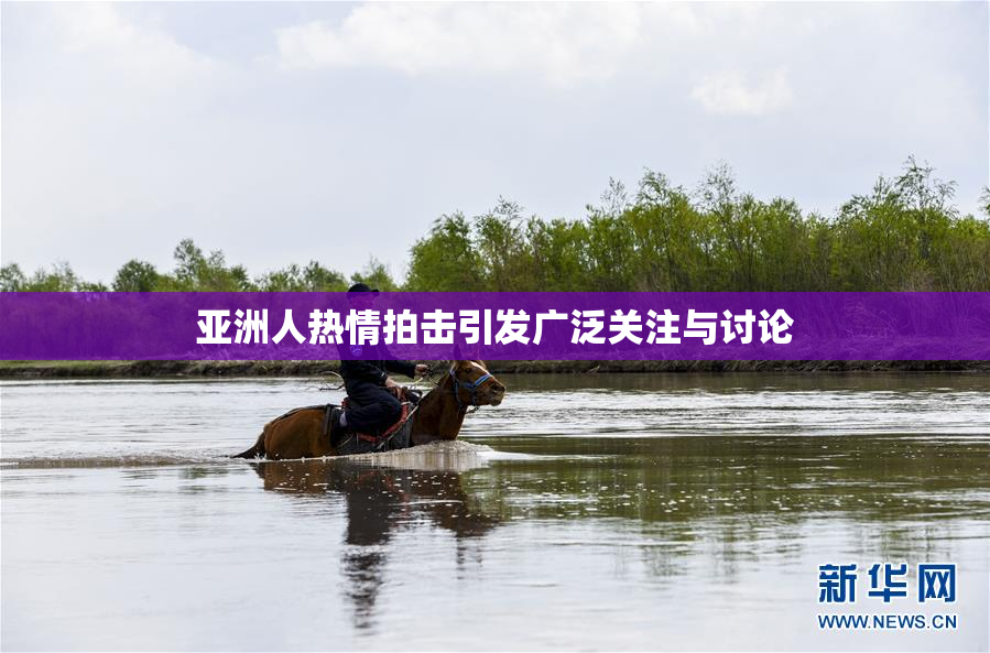 亚洲人热情拍击引发广泛关注与讨论