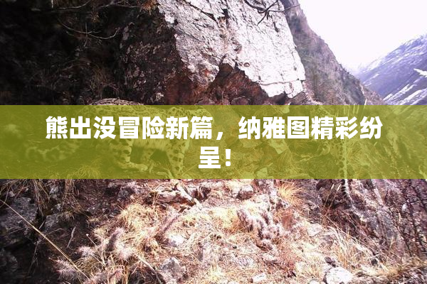 熊出没冒险新篇，纳雅图精彩纷呈！