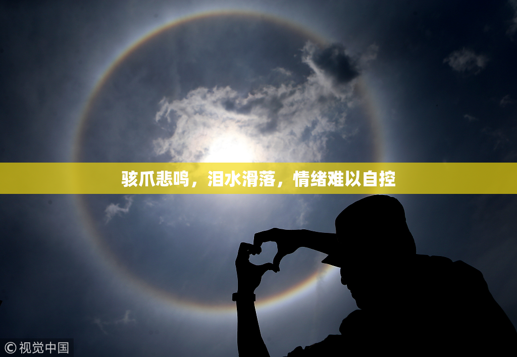 骇爪悲鸣，泪水滑落，情绪难以自控