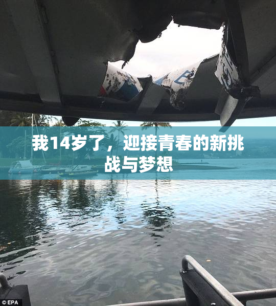 我14岁了，迎接青春的新挑战与梦想