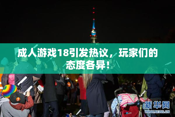 成人游戏18引发热议，玩家们的态度各异！