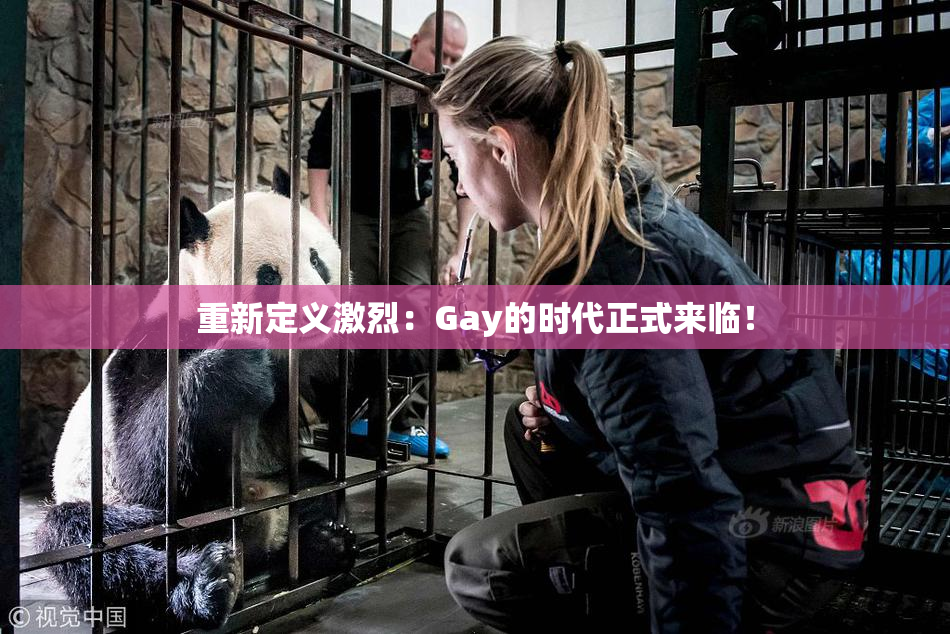 重新定义激烈：Gay的时代正式来临！