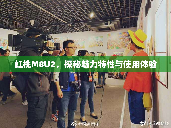 红桃M8U2，探秘魅力特性与使用体验