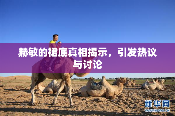 赫敏的裙底真相揭示，引发热议与讨论
