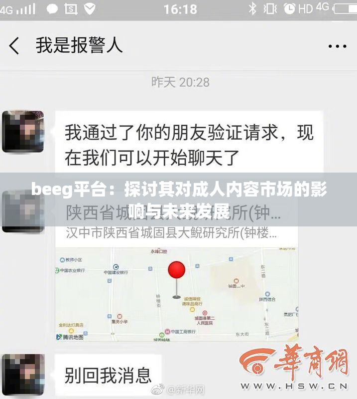 beeg平台：探讨其对成人内容市场的影响与未来发展
