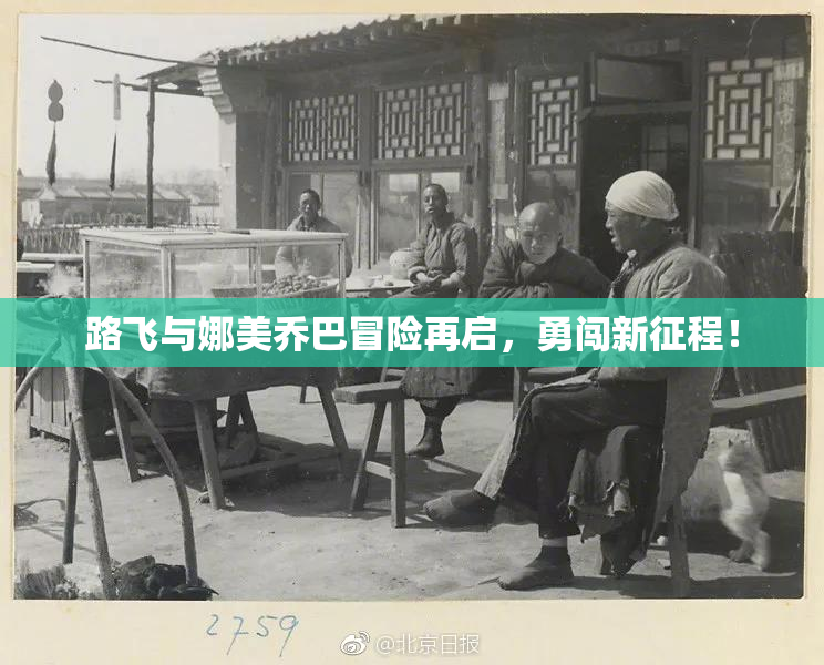 路飞与娜美乔巴冒险再启，勇闯新征程！