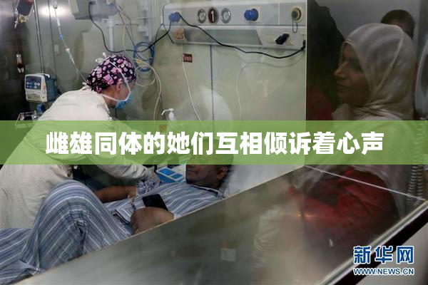 雌雄同体的她们互相倾诉着心声