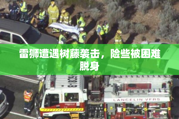 雷狮遭遇树藤袭击，险些被困难脱身
