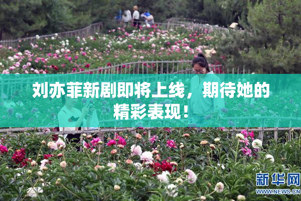 刘亦菲新剧即将上线，期待她的精彩表现！