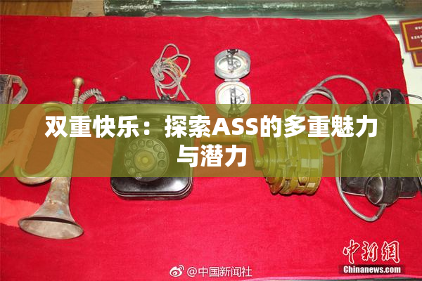 双重快乐：探索ASS的多重魅力与潜力