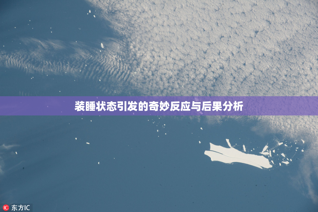 装睡状态引发的奇妙反应与后果分析