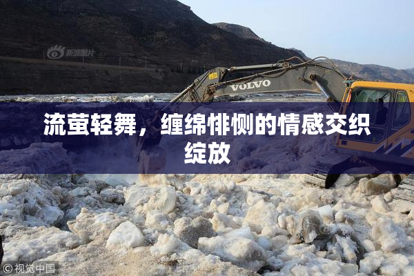 流萤轻舞，缠绵悱恻的情感交织绽放