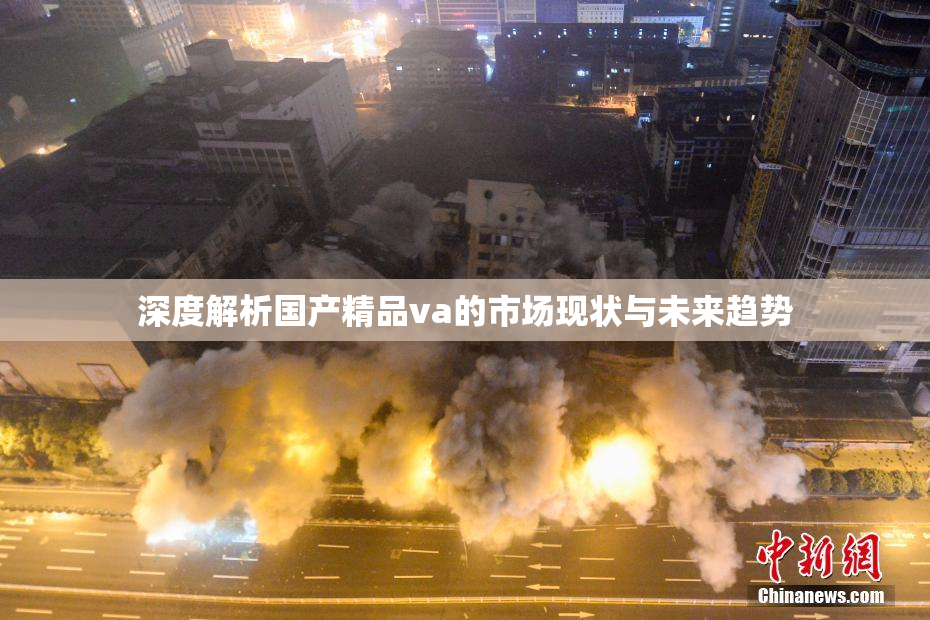 深度解析国产精品va的市场现状与未来趋势
